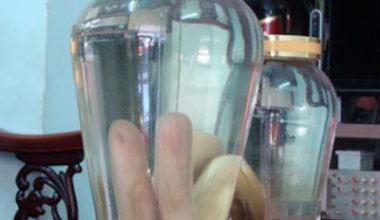 nhung huou ngam ruou