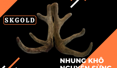 nhung khô nguyên sừng