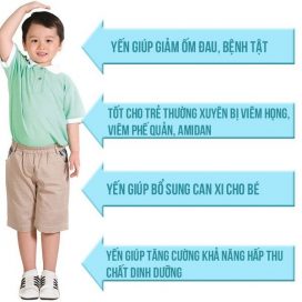 Tác dụng và cách dùng Yến sào dành cho trẻ em từ 1-5 tuổi