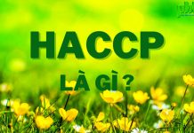 HACCP là gì? Chứng nhận HACCP có ý nghĩa gì?