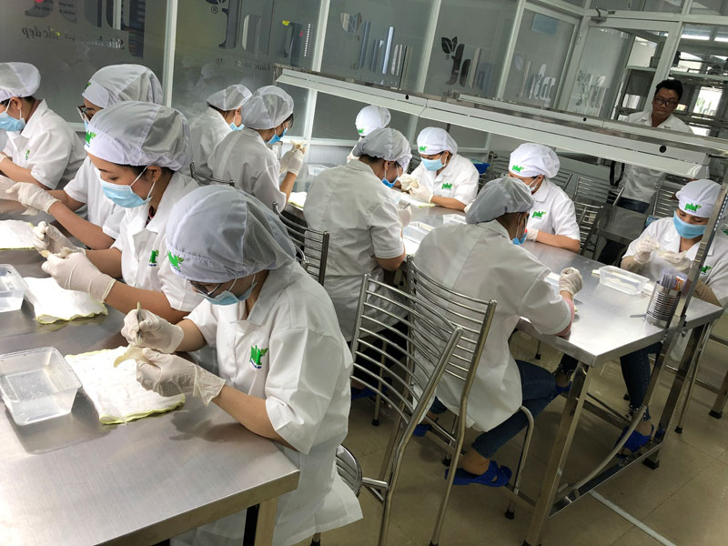 Bên trong quy trình sản xuất yến sào Hồng Tuyết Linh