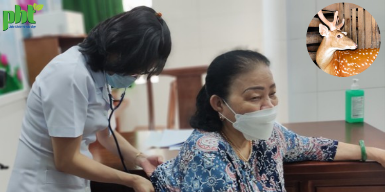 Nhung hươu có tác dụng gì cho F0 bị hậu Covid