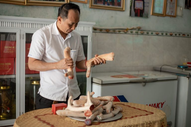 Nhung hươu Hương Sơn, nhung hươu, mua nhung hươu ở đâu